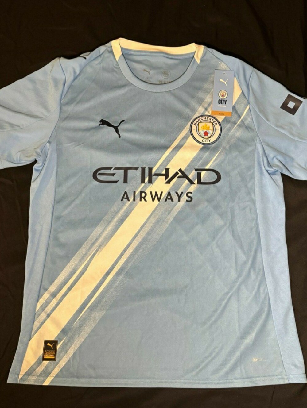 Puma Light Blue Manchester City Jersey Size L